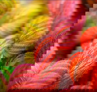 Creative Fibre - Tourism Canberra