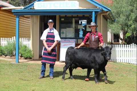 Festival Of The Big Cow - Tourism Canberra 2