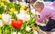 Floriade: Reimagined - thumb 1