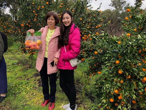 Fruit Taste Adventure Tours - Tourism Canberra 0