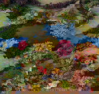 Glenrock Gardens Open Garden - Tourism Canberra