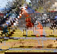 Glen Innes Pastoral and Agricultural Show - Tourism Canberra