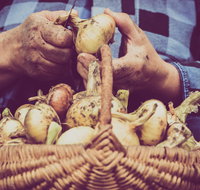 Grafton Farmers Market - Tourism Canberra