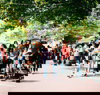 Hahndorf Christkindlmarkt - Tourism Canberra