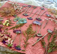 Introduction to Paper Making - Tourism Canberra