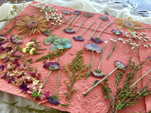 Introduction To Paper Making - Tourism Canberra 0