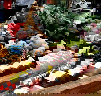 Manjimup Farmers Market - Tourism Canberra