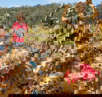 Mini Muddies Obstacle Challenge at Bunnamagoo Estate - Tourism Canberra