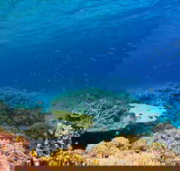 Recovery of the Great Barrier Reef - Tourism Canberra