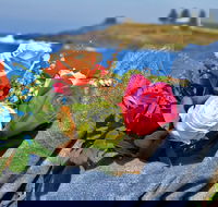 Roses by the Seaside National Rose Championships and Conference - Tourism Canberra