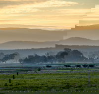 Rotary Club of Maffra Community Market - Tourism Canberra