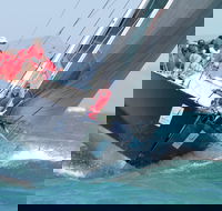 SeaLink Magnetic Island Race Week - Tourism Canberra