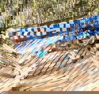Shimano Mountain Bike Grand Prix Race Eight Ourimbah - Tourism Canberra