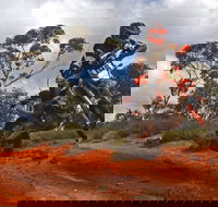 Sunraysia Safari Rally - Tourism Canberra