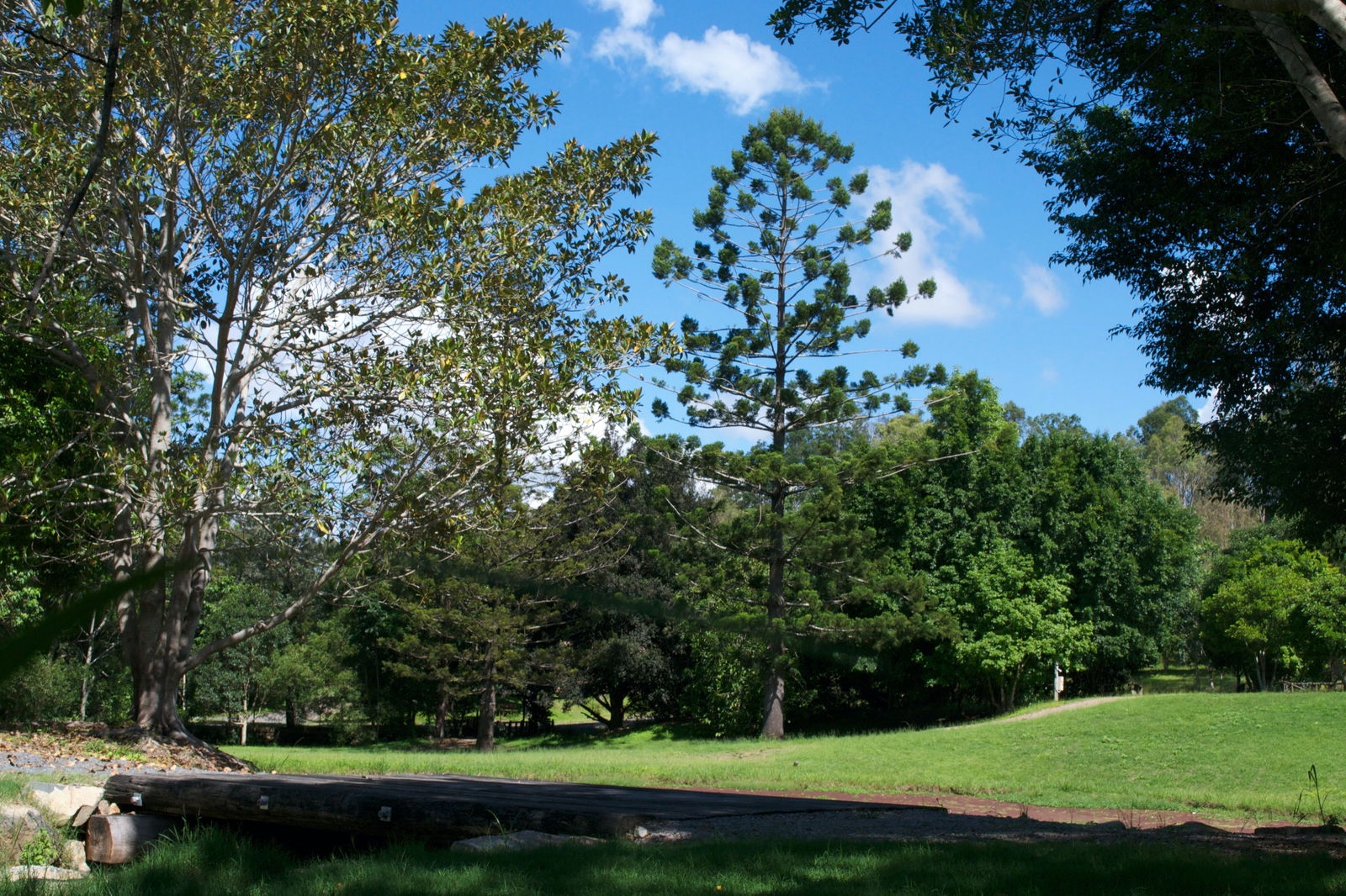 Bellthorpe QLD Tourism Canberra