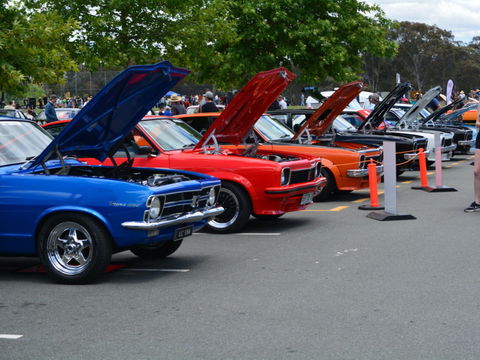 Torana Nationals - Tourism Canberra 1