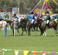 Wangaratta Show - Tourism Canberra