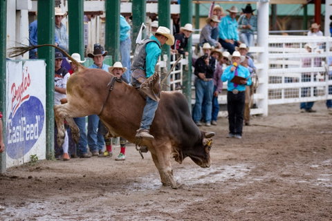 Warwick Rodeo National APRA National Finals And Warwick Gold Cup Campdraft - Tourism Canberra 1