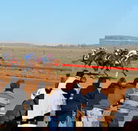 2020 Quorn Cup - Tourism Canberra
