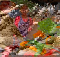 Albany Farmers Market - Tourism Canberra