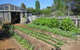 All Season Cold Climate Organic Vegetable Growing - thumb 1
