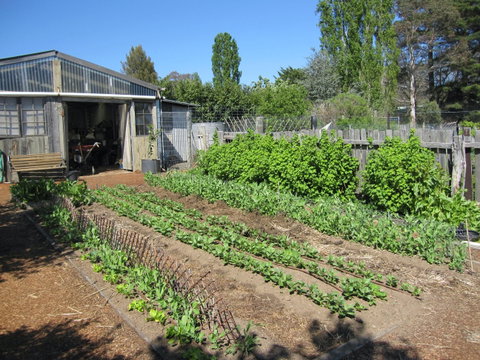 All Season Cold Climate Organic Vegetable Growing - Tourism Canberra 1