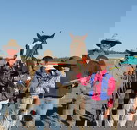 Annual Prairie Races - Tourism Canberra