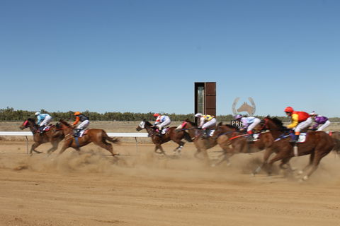 Annual Prairie Races - Tourism Canberra 1
