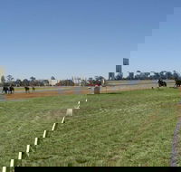Balranald Races -Derby Day - Tourism Canberra