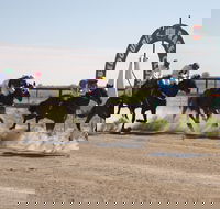 Bedourie Races and Rodeo - Tourism Canberra