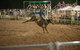 Black Opal Bull And Bronc Ride - thumb 2