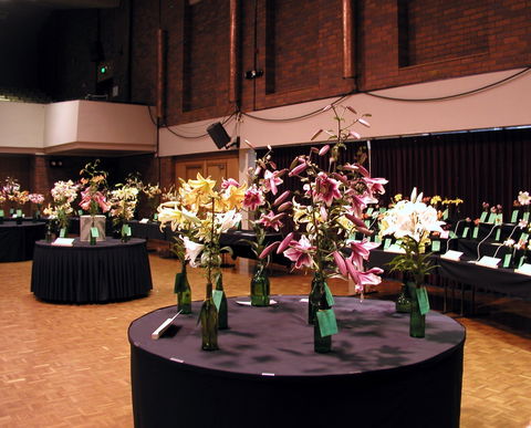 Burnie Lilium Show - Tourism Canberra 0