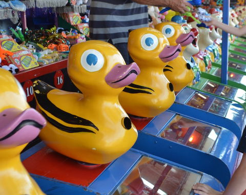 Casino Agricultural Show - Tourism Canberra 0