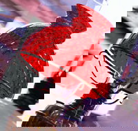 Collectable Sundays - Bus Depot Markets - Tourism Canberra