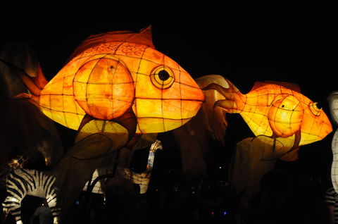 DREAM Festival: Music And Markets Event - Tourism Canberra 2