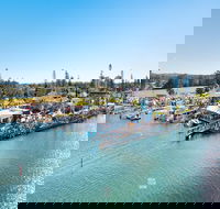 Fred Williams Aquatic Festival - Tourism Canberra