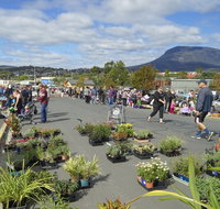 Hobart Showground Sunday Market - Weekly - Tourism Canberra