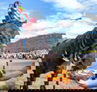 Horses Birthday Festival - Tourism Canberra