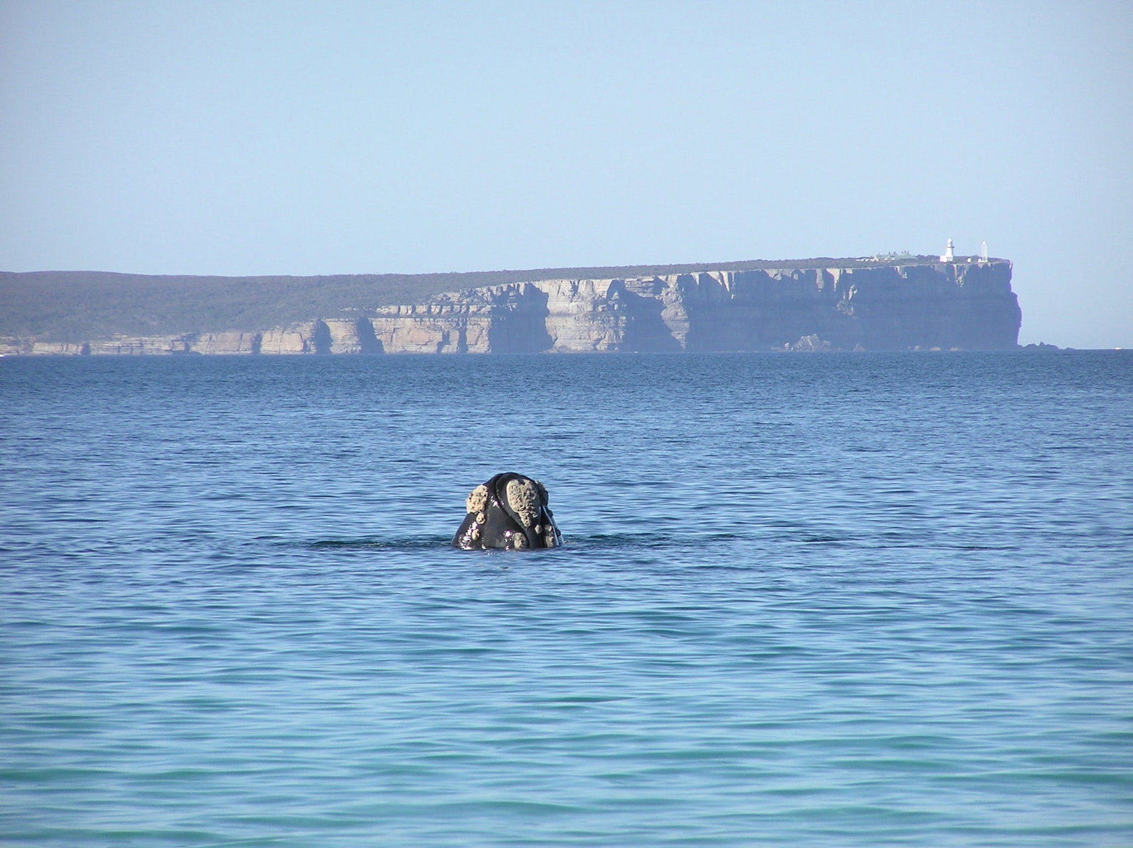 Huskisson NSW Tourism Canberra