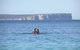 Jervis Bay's Sydney To Hobart Experience - thumb 0