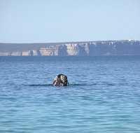 Jervis Bay's Sydney to Hobart Experience - Tourism Canberra