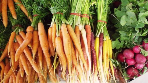 Joondalup Growers Market - Tourism Canberra 0