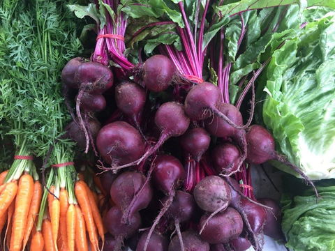 Joondalup Growers Market - Tourism Canberra 2