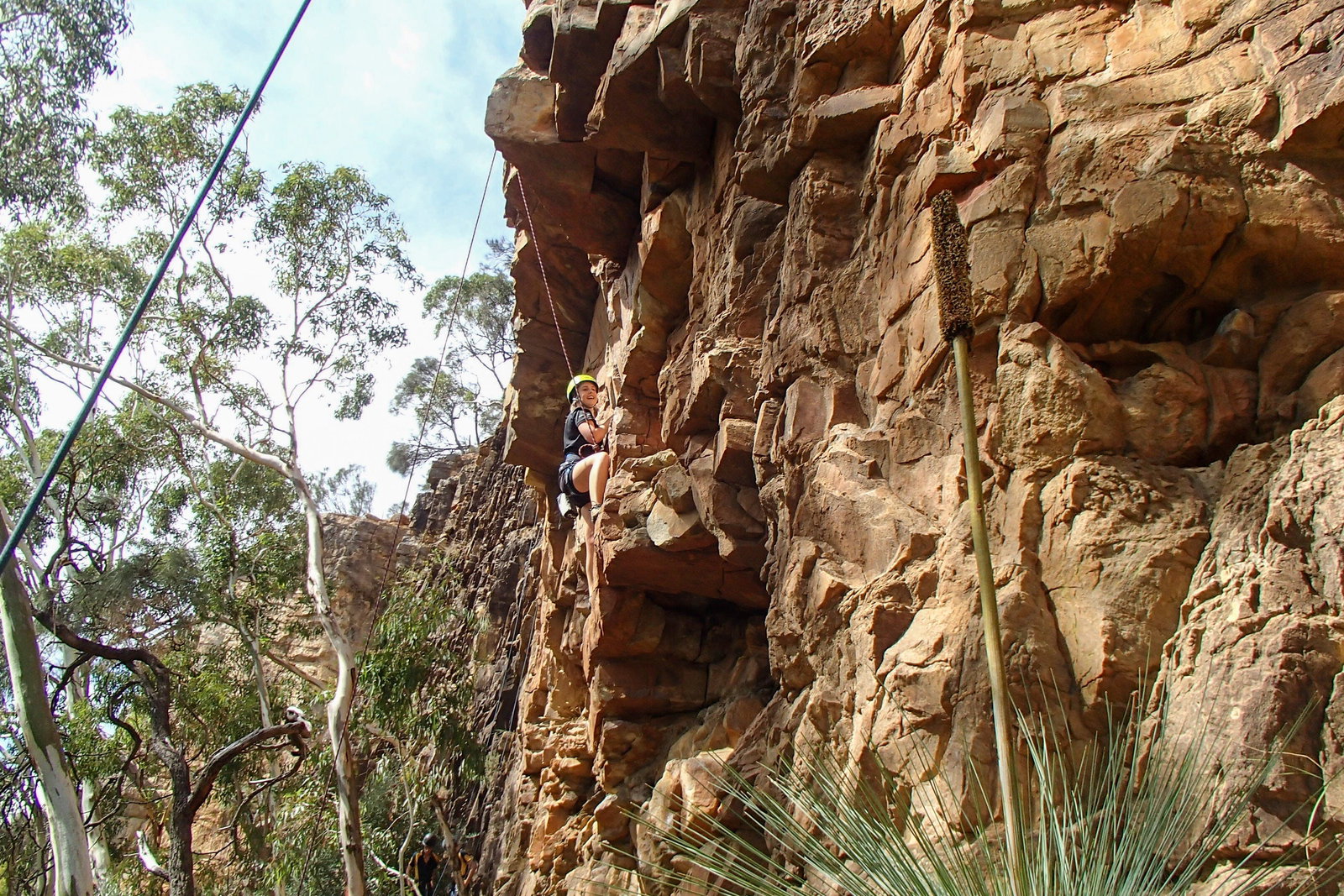 Woodforde SA Tourism Canberra