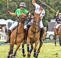 Land Rover Polo in the City - Tourism Canberra