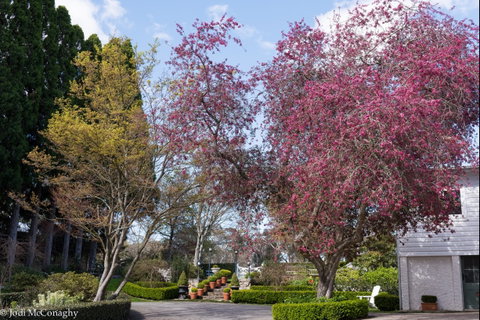 Leura Gardens Festival - Cancelled - Tourism Canberra 0
