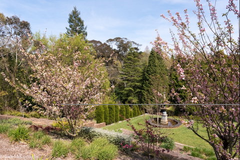 Leura Gardens Festival - Cancelled - Tourism Canberra 2