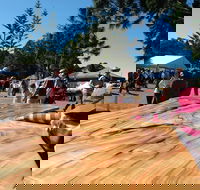 Maleny Wood Expo From Seed to Fine Furniture - Tourism Canberra