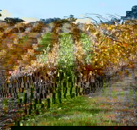 Miners Ridge Wine Tasting - Tourism Canberra