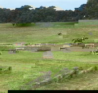 Mount Gambier and District Pony Club Horse Trials 2020 - Tourism Canberra